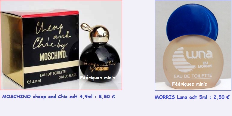 MOSCHINO cheap and Chic et MORRIS Luna